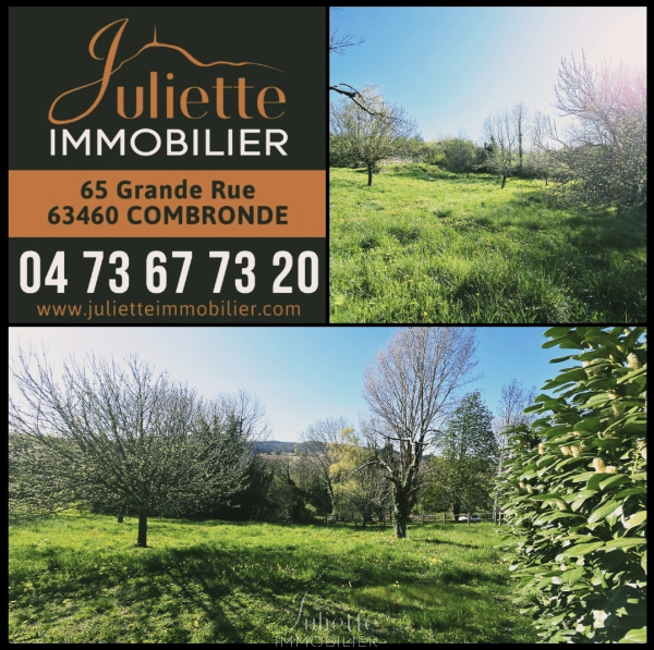 Offres de vente Terrain à batir Combronde 63460