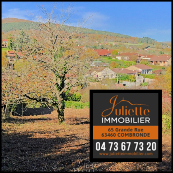Offres de vente Terrain à batir Combronde 63460