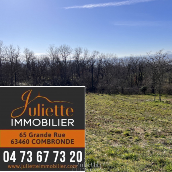 Offres de vente Terrain à batir Jozerand 63460